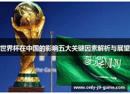 世界杯在中国的影响五大关键因素解析与展望