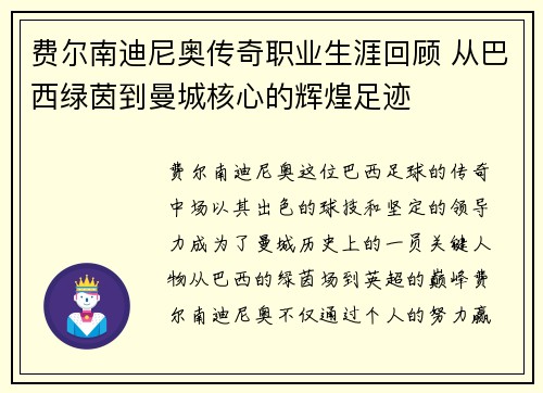 费尔南迪尼奥传奇职业生涯回顾 从巴西绿茵到曼城核心的辉煌足迹